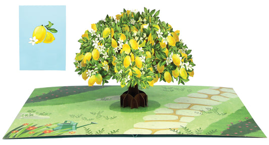 Lemon Tree